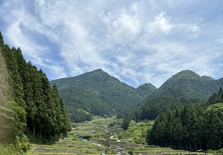 下から見上げた棚田の絶景