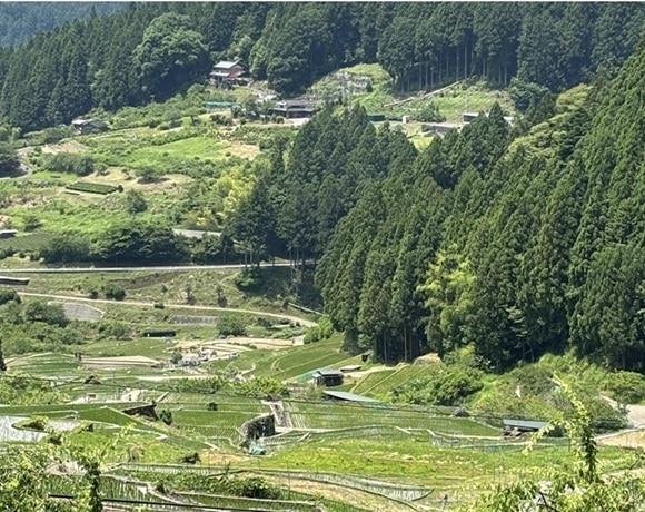 上の駐車場からの見渡せる棚田の絶景