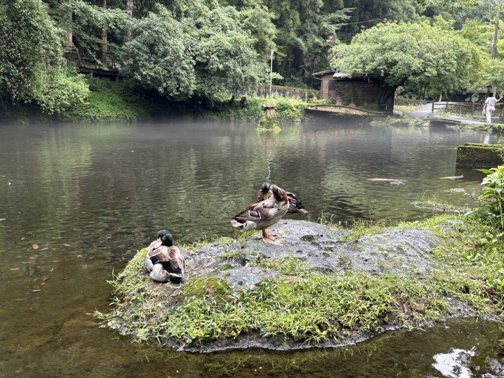 おのころ島