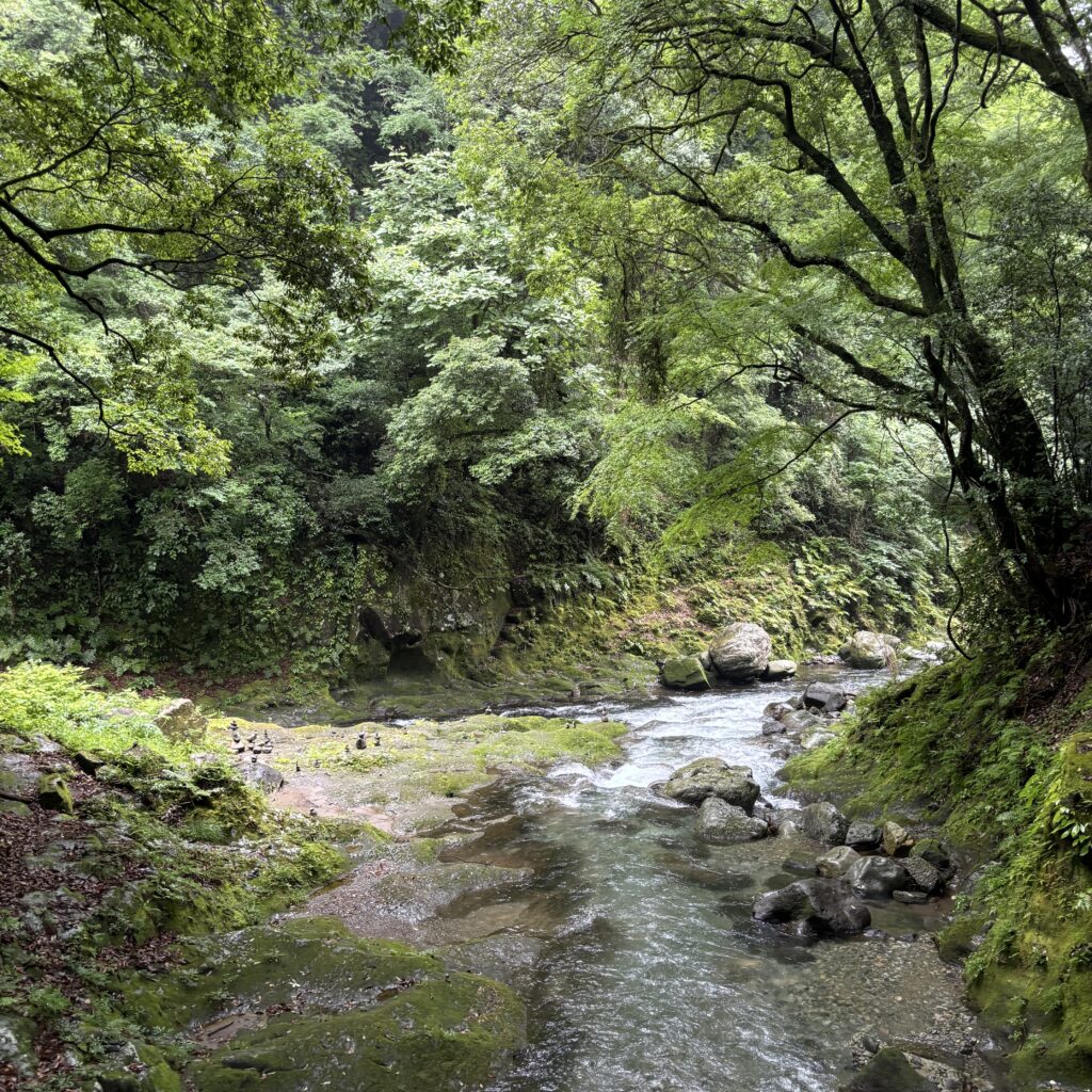 岩戸川