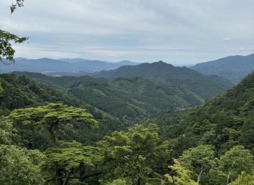 鳳来山の山々