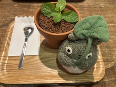 鉢植えのティラミスとトトロのぬいぬぐるみ