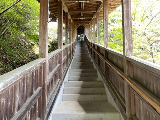 裏手に続く階段の道