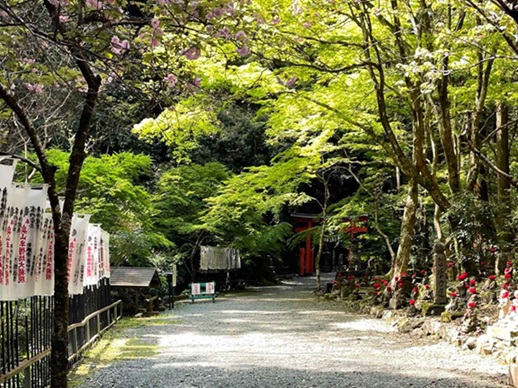 哲学の道