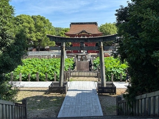石鳥居とその先に見える蓮池と朱色の隋神門