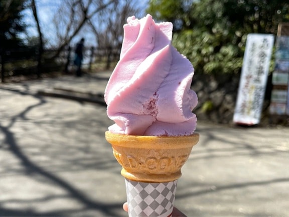 薄紫のハスカップのソフトクリーム