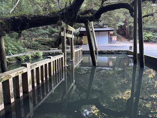 鹿島神宮の透明度の高い御手洗池