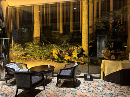 霧島ホテル杉パレスから眺めるライトアップされた百年杉庭園の夜景