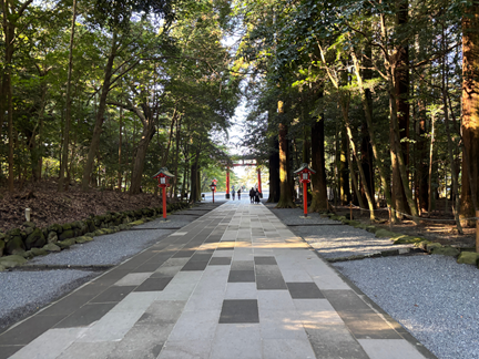霧島神宮の三の鳥居と参道。静かな森に包まれ神聖な空気が漂う参拝道。