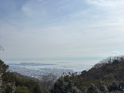 山頂から望む神戸の街と海