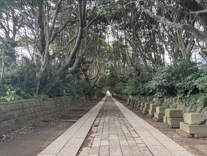 酒列磯前神社の参道｜緑のトンネルに包まれた神秘的な道