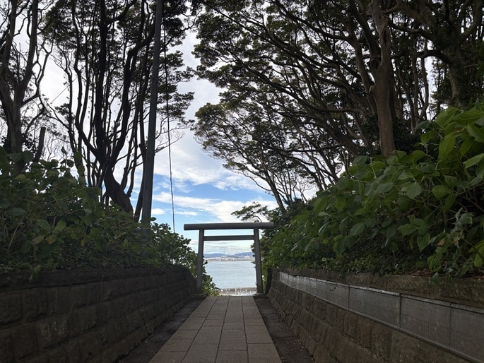 酒列磯前神社の海側参道。木々の間から海が見える神秘的な景色