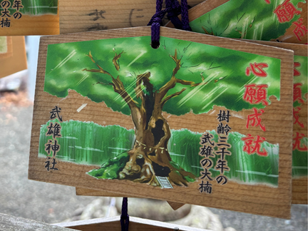 武雄の大楠を描いた絵馬