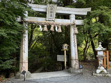 武雄神社の大楠参道入口に立つ鳥居の写真