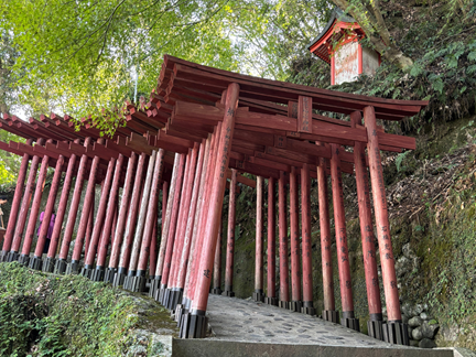 祐徳稲荷神社の奥の院に続く赤い鳥居のトンネル