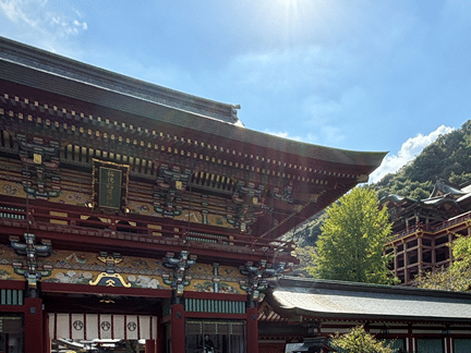 祐徳稲荷神社の楼門と山の斜面に建つ本殿が写った人気アングルの写真｜朱塗りの荘厳な社殿と日差しが美しい景観