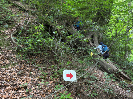 木の根をつかみながら登る三徳山の最初の難所・カズラ坂