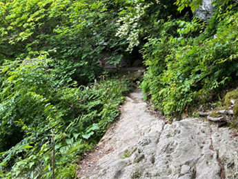 最後の難関「馬の背 牛の背」