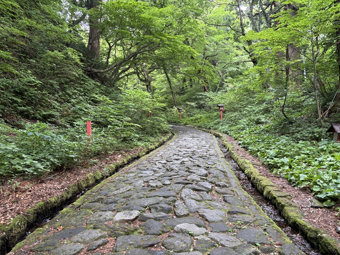 大神山神社奥宮へと続く日本最長級の石畳参道。森の中に続く神秘的な一本道。