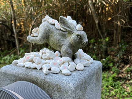 白兎神社のうさぎの石像と結び石。願いを込めて奉納された結び石がのせられている。